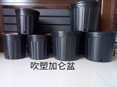 加仑盆图1