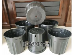 加仑盆图1
