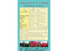 北方雪松 当年裸根苗 0.8元、雪松籽播苗，大规格另议图1
