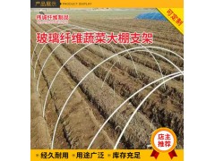 销售玻璃纤维蔬菜大棚 植物拱棚支撑架 植物攀爬杆 农用支撑杆图1