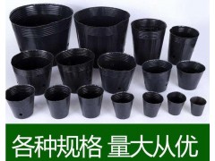 浩兴营养钵-营养杯-园艺育苗杯-10*10黑色软塑料花盆批发图1