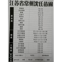 常州沈氏苗圃大叶黄杨球P1-1.2-1.5-1.8-2米现货