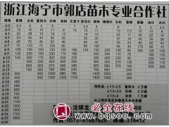 海宁合欢价格表，2-13公分合欢现货供应 郭店镇苗木基地图1