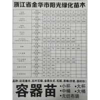 供应移栽栾树规格10-18公分现货供应 金华阳光绿化苗木基地