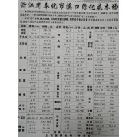 供应塔型丰满的罗汉松7-18公分，浙江罗汉松基地 罗汉松