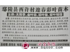 经营太阳李、金叶榆、榆叶梅、紫叶矮樱苗木 鄢陵迎春园林图1