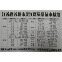 供应8-22公分榉树精品树，苏州榉树基地 榉树价格表