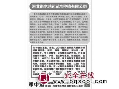 五角枫3-9CM 2万棵 衡水五角枫基地 鸿运苗木种植基地图1