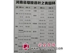 鄢陵栾树基地 2-18公分栾树现货供应 叶之青园林 河南栾树图1