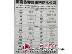 河南桧柏价格表，高度40-350公分桧柏价格表 鄢陵桧柏基地图1