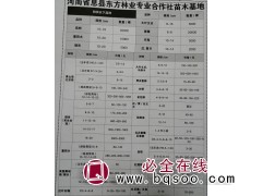 供应黄山栾/北京栾当年苗高度0.5-1.2，河南黄山栾价格表图1