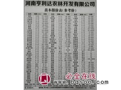 河南银杏价格 3-50公分银杏树 银杏树供应 河南亨利达苗木图1