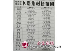 供应大叶女贞苗 2-15公分大叶女贞苗价格表 潢川大叶女贞苗图1