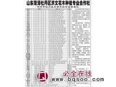 供应3-12公分精品国槐树、速生国槐树，菏泽苗木基地 国槐树图1