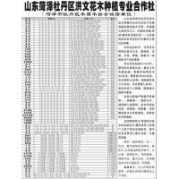 供应3-12公分精品国槐树、速生国槐树，菏泽苗木基地 国槐树