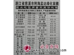 产地直销价供给大叶黄杨球P20-120 浙江苗木网 孟达绿化图1