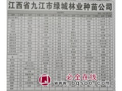 九江苗木网 九江绿城林业专供庐山凹叶厚朴 厚朴苗 九江厚朴图1