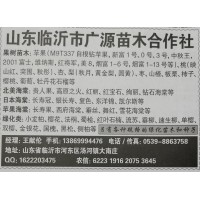 临沂苗木网 广源苗木专供各类果树苗 苹果苗各个系列均有