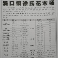 2-12公分红枫现货供应 浙江苗木网 浙江红枫苗木基地 红枫