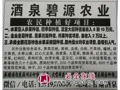 金丝皇菊种植， 黑果花楸种植，钙果种植项目 甘肃苗木网图1