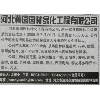 各种规格金叶榆 河北苗木网 河北金叶榆价格 冀园园林绿化工程