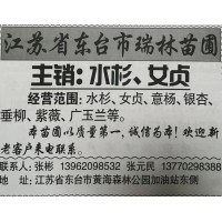 潢川苗木网 建杰花木基地供应桂花树、广玉兰、红玉兰苗木