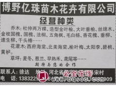 供应杜仲树2万棵 亿珠苗木杜仲树价格表 河北苗木网 杜仲树图1