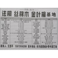 供应法桐、速生法桐8-25公分多年帽及原生冠 河南苗木网