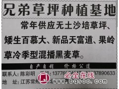 常年供应无土沙培草坪 常州草坪基地 常州草坪网 草坪大量供应图1