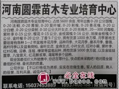 1-20公分国槐价格表 河南园林网 河南圆霖苗木中心 国槐图1