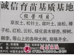 吉林苗木网 诚信育苗基质基地专供草炭土 松针土 腐叶土图1