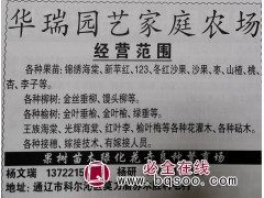 华瑞园艺专供各种果树苗 吉林果树网 锦绣海棠 沙果苗 苹果苗图1