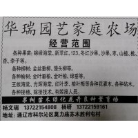 华瑞园艺专供各种果树苗 吉林果树网 锦绣海棠 沙果苗 苹果苗