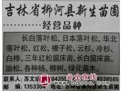 长白落叶松苗供应 柳河新生苗圃 吉林苗木网 落叶松建圃苗图1