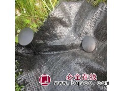 防草布厂家 pe全新料防草布 规格齐全 临沂鲁农防草地布图1