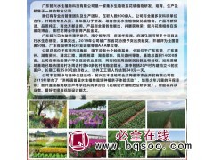 供应水生植物，水生植物造景专用植物供应 广东懿兴水生植物图1