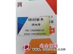 主营丹麦草，麦冬草，湖北麦冬草批发图1