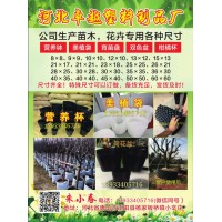 卓越塑料制品厂生产苗木花卉专用各种营养钵 美植袋 育苗盘