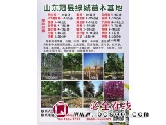 垂柳1-30公分 垂柳基地 冠县绿城苗木基地 规格全价格低图1