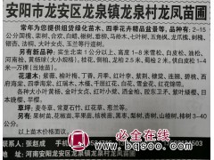 1-8米雪松树 安阳雪松大树供应 安阳苗木网 安阳龙凤苗圃图1