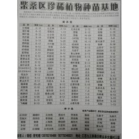 九江苗木网 江西元宝枫基地 九江元宝枫价格表 九江苗木基地