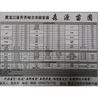 供应4-10公分山桃稠李 东北苗木网 森源苗圃 山桃稠李苗