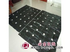 蓝莓种植打孔防草布图1