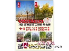 河北保定领越绿化工程有限公司图1