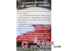 专供美国红枫树 金海绿色产业基地 红枫基地 红枫价格表 红枫图1