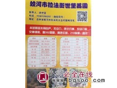 高20-40公分美国蓝杉钵苗 美国蓝杉小苗价格 东北苗木网图1