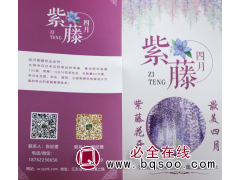 专业出售进口紫藤 进口紫藤批发价格 专业紫藤出售 四月紫藤图1