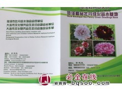 菏泽牡丹 菏泽芍药基地 专供牡丹芍药苗 芍药花苗 彩卉花木图1