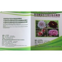 菏泽牡丹 菏泽芍药基地 专供牡丹芍药苗 芍药花苗 彩卉花木