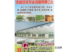 专业生产温室大棚 玻璃棚 钓鱼棚 赤峰温室 双收农业设施图1